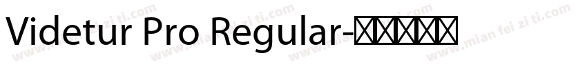 Videtur Pro Regular字体转换